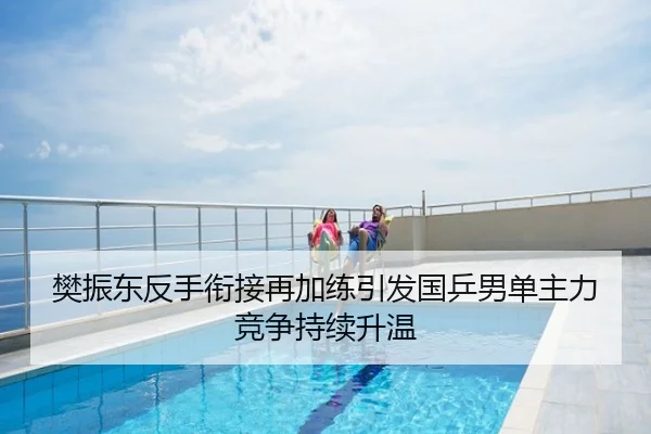 樊振东反手衔接再加练引发国乒男单主力竞争持续升温