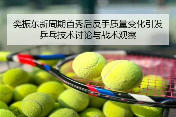 樊振东新周期首秀后反手质量变化引发乒乓技术讨论与战术观察